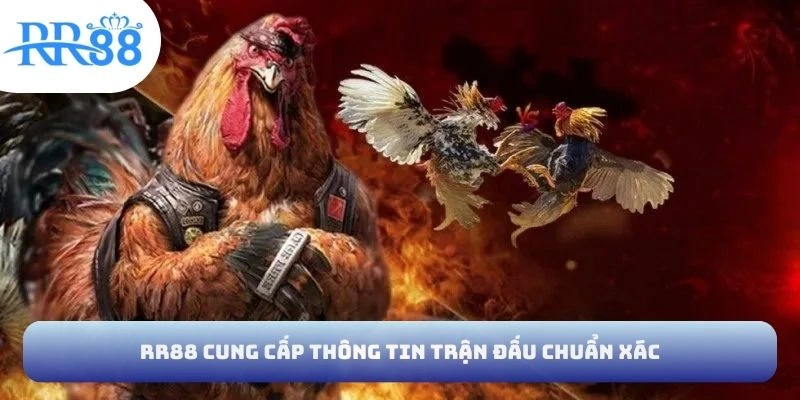 RR88 cung cấp thông tin trận đấu chuẩn xác