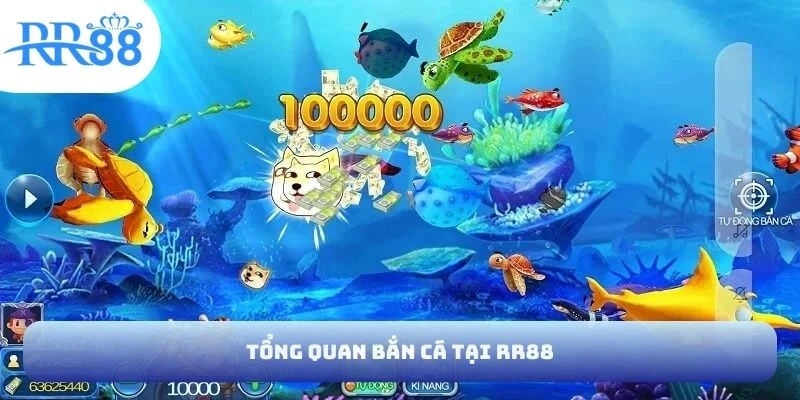 Tổng quan bắn cá tại RR88