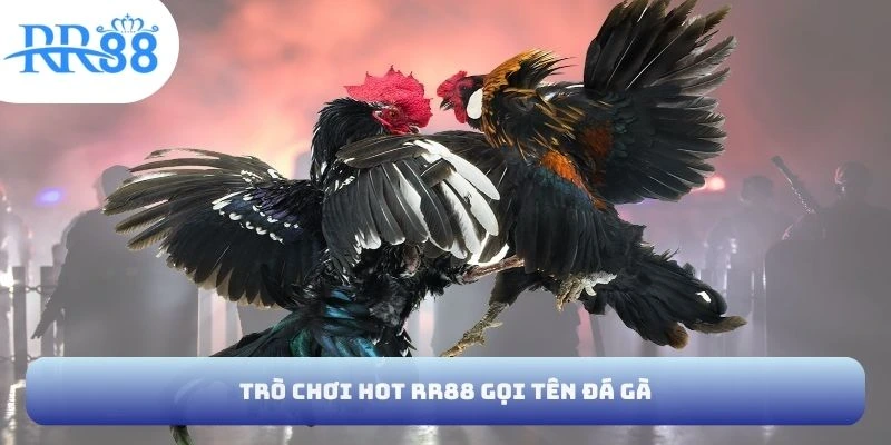 Trò chơi hot RR88 gọi tên đá gà